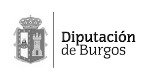 LOGO DIPUTACION BURGOS