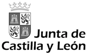 LOGO JCYL